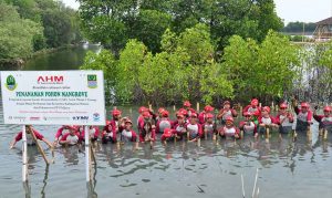 AHM Ajak Wisata Mangrove & Jaga Ekosistem
