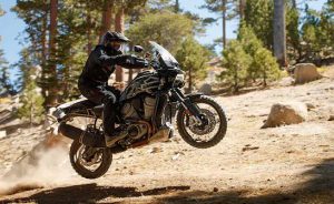 Bosan Cruiser, Harley-Davidson Bidik Pan America Adventure