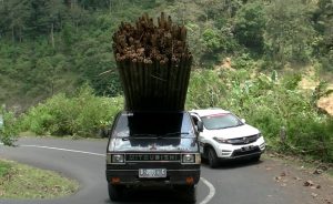 Mitsubishi L300 Jagoan Tanjakan Ekstrim